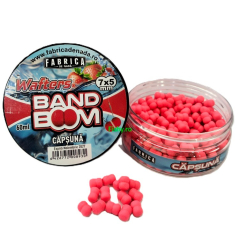 Wafters BandBoom Fabrica de Nada Capsuna